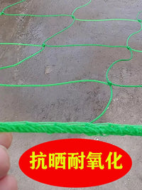 Plant Trellis Netting for Climbing Vines, Fruits, and Flowers - Garden Support Mesh