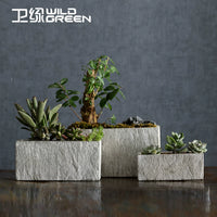 Weilu Creative Nordic Rectangular Imitation Stone Cement Planter for Indoor Plants
