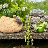 Creative Animal Shaped Resin Planter for Balcony Garden Decor - Turtle & Frog Designs