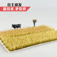 Miniature Rice Paddy Field Model for Dioramas and Train Layouts, 1/72 1/87 HO Scale