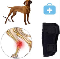 Pet Dog Leg Support Brace for Injury Recovery and Post-Surgery Aid