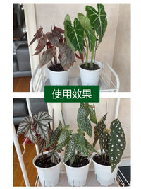 Orchid Plant Support Stakes with Clips and Caps for Potted Flowers