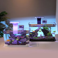 Desktop Stream Aquarium with Integrated Filtration & Oxygenation, LED Lighting, and Landscape Decor
