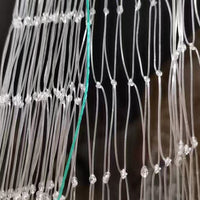 Nylon Monofilament Anti-Bird Netting for Orchard and Garden Protection