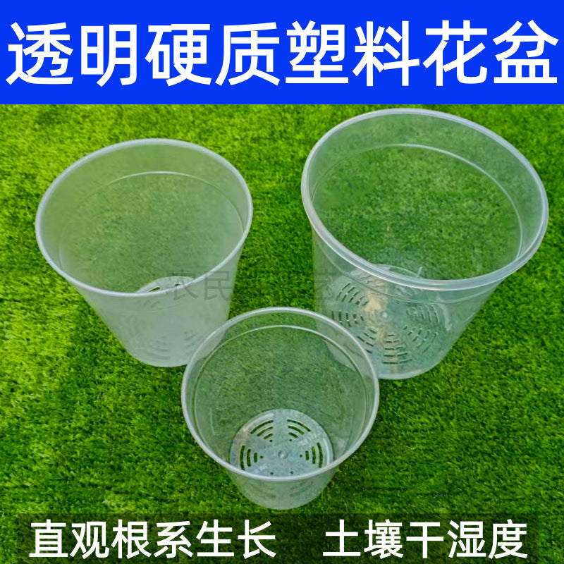 Clear Hard Plastic Orchid & Succulent Nursery Pot with Drainage Holes