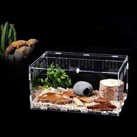 Acrylic Reptile Terrarium Breeding Box for Lizards, Spiders, Tortoises, and Frogs