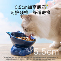 Ceramic Tilted Pet Bowl for Cats and Small Dogs, Anti-Tip Design, Food and Water Dish for Kittens and Puppies