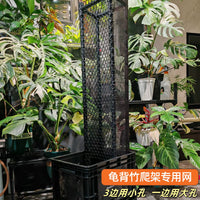 Plant Support Netting for Climbing Plants, Monstera Deliciosa Trellis Net, Garden Plant Trellis, Hydroponic Netting
