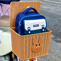Universal Reinforced Electric Bicycle Rear Basket with Lid for Shopping and Storage