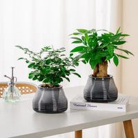 Self-Watering Planter Pot for Indoor Plants, Resin Plastic Breathable Hydroponic Flower Pot
