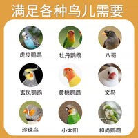 Automatic Bird Bath Tub with Water Circulation for Parrots and Small Birds