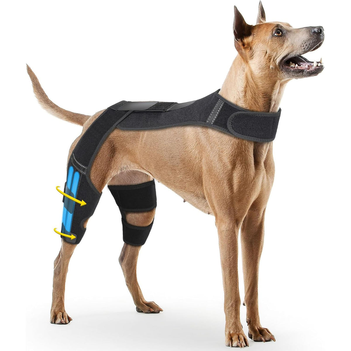 Pet Dog Rear Leg Brace for Injury Recovery and Support