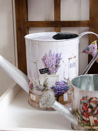 Vintage American Style Iron Watering Can for Garden and Patio
