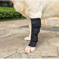 Pet Dog Knee Brace for Post-Surgery Recovery and Joint Support
