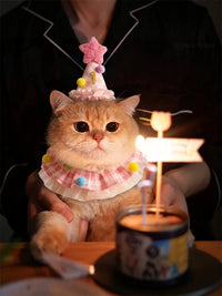 Pet Birthday Bandana with Pom-Poms and Hat for Cats and Small Dogs