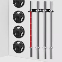 Wall-Mounted Squat Rack Barbell Hanger and Plate Storage for Home Gym