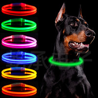 USB Rechargeable LED Light-Up Dog Collar for Night Walking Safety