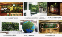 苔藓墙人造苔藓微景观绿植办公室苔藓形象墙仿真永生苔藓植物墙