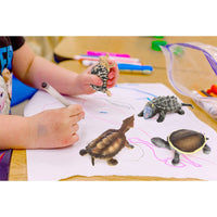 Miniature Solid Simulation Marine and Land Turtle Figurines for Kids' Cognitive Play and Decoration