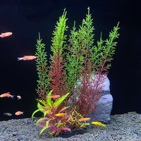 Artificial Kelp Seaweed Aquarium Ornament Plastic Plant Decoration
