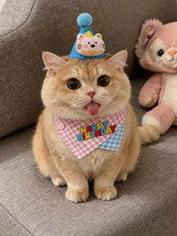 Pet Birthday Bandana and Hat Set for Cats and Small Dogs