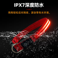 LED Light-Up Dog Collar USB Rechargeable Waterproof for Night Safety