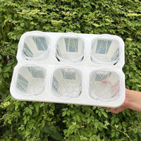 3-inch Planter with 6-Cell Tray, High Transparency Root Observation Pot for Succulents, Roses, Begonias, and Moss