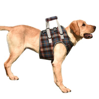 Pet Dog Support Harness for Post-Surgery Recovery, Elderly, or Disabled Dogs