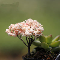 Miniature Artificial Tree for Sand Table Micro Landscape Decor