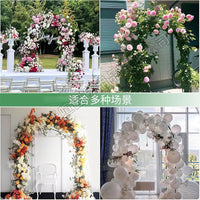 Garden Arch Trellis for Climbing Plants, Outdoor Steel Tube Arbor for Vines, Roses, and Grapes