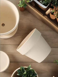 Breathable Terracotta Planter Pot for Succulents Orchids Green Plants, Minimalist Design with Drainage Tray Option