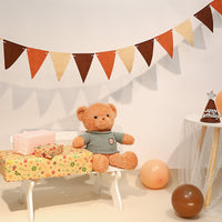 Triangle Pennant Banner for Birthday Party & Classroom Decoration