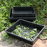 Rectangular Plastic Seedling Tray with Drainage Holes, Thickened Nursery Germination Planter for Rice, Sprouts, and Seeds