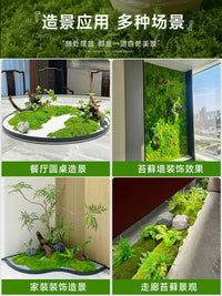 Artificial Moss Stones for Micro Landscape and Floral Arrangements