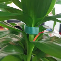 Adjustable Plant Support Velcro Straps for Garden and Home