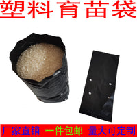 Thickened PE Plant Nursery Bags for Citrus Fruit Tree Seedlings and Bonsai, 100-Pack