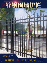 Outdoor Powder-Coated Steel Fence Panel for Garden Yard Villa Decoration