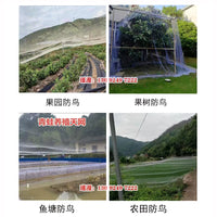Durable Anti-Bird Netting for Fruit Trees, Gardens, and Ponds - UV Resistant Nylon Mesh Protection