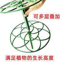 Sunflower Lollipop Plant Support Stake for Potted Flowers and Climbing Vines