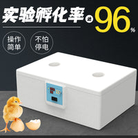 Automatic Smart Egg Incubator for Home Use - Duck, Goose, Pigeon, Quail