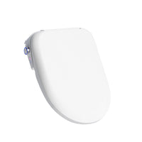 Smart Bidet Toilet Seat with Remote Control, Heated Seat, Instant Warm Water, Auto Open/Close Lid