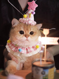 Pet Birthday Bandana with Pom-Poms and Hat for Cats and Small Dogs
