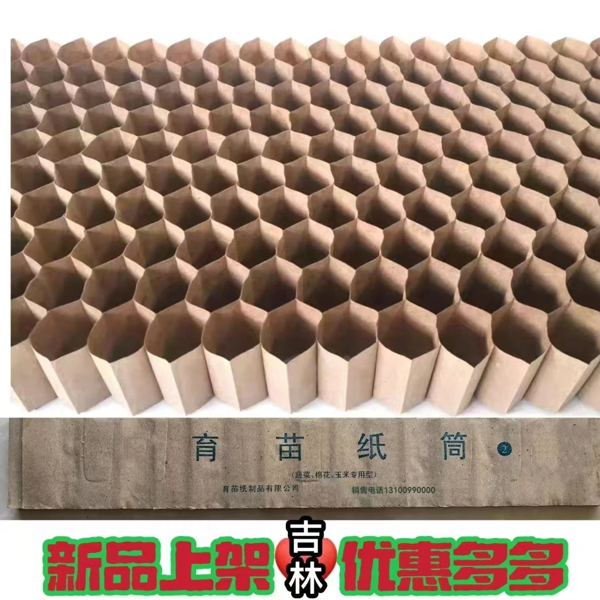 Biodegradable Seedling Starter Paper Pots for Plant Propagation