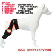 Pet Dog Leg Brace with Support Strips for Injury Recovery