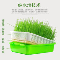 Hydroponic Seed Sprouter Tray Kit for Home Gardening, Bean Sprout Growing System