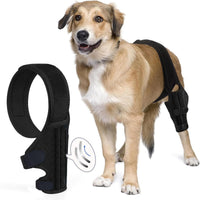 Pet Dog Knee Brace for Injury Recovery and Leg Support