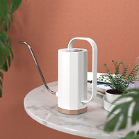 Long Spout Plastic Watering Can for Succulents & Potted Plants