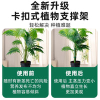 Plant Support Stakes for Potted Plants, Tomatoes, Orchids, and Climbing Vines