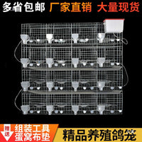 Outdoor Galvanized Pigeon Breeding Cage with Water Tank, Multi-Tier Design for Racing Pigeons