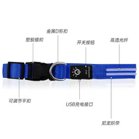 LED Light-Up Dog Collar USB Rechargeable Waterproof for Night Safety